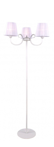 т2