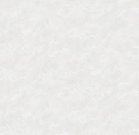 285621 Victoria Stenova Fresco Обои винил на флиз. основе горячего тиснения 1,06х10м