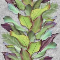 Обои Тропик  11560  2С(ГД1)  1/14  Беларусь