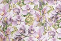 SP71836-56 Обои виниловые на флизелиновой основе ***