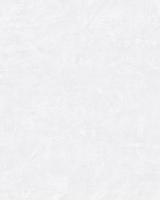80211/Обои/Прима Италияна/Ducale/уни штукатурка жемчуг/Компактный винил
на флизелине/1,06*10 (C/2305
