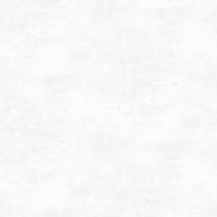 286861 Фактори фон (6) обои VICTORIA STENOVA (1,06*10,05)