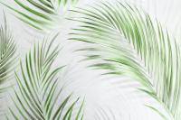 HC71973-47 (8) Обои 10 ВВ ГТ ФО HomeColor