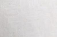 PL71982-25 (6) Обои 10 ВВ ГТ ФО Палитра