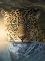 Канвас Постер 60/80 Рама 0 