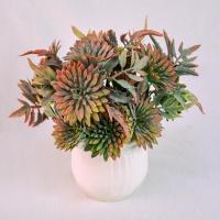 Композиция/цветы 029 Календула коричнево-зеленый/белый 160*90*90