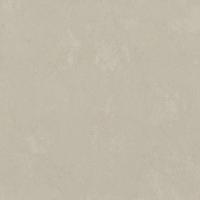 7236-02 Обои Euro Decor 6 Bengal