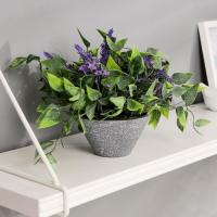 Бонсай в горшке "Лиана и мелкие цветочки" 11*16 см, микс 4642631