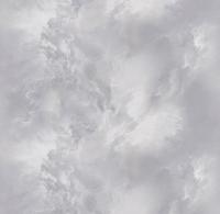 287168 Фантом мотив (6) обои VICTORIA STENOVA (1,06*10,05)