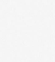 Салерно фон 06 Д838 гр.4 (12) 10,05/0,53 Обои Сар.С.6