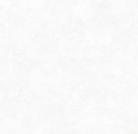 286751 Victoria Stenova Da Vinci Обои винил на флиз. основе горячего тиснения 1,06х10м