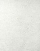 286124/Обои/Accento/Sagano/фон кремовый  к 286113/Компактный винил на флизелине/1,06*10,05 (31987)