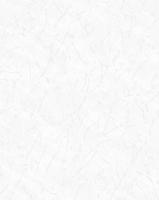 286131/Обои/Accento/Marfil/трещины белые/Компактный винил на флизелине/1,06*10,05 (40318)