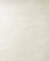 286122/Обои/Accento/Sagano/фон св. беж  к 286112/Компактный винил на флизелине/1,06*10,05 (31989)