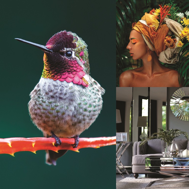 Коллекция "Ducale"