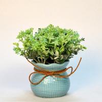 Композиция/цветы DP1170 зелено-голубой/голубой 150x80x70, DP19 987689277