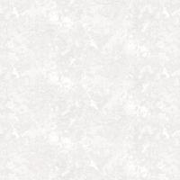 Обои виниловые / Wallberry Элвис фон 8843 (1,06*10.05) (6)  ***