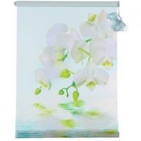 Штора-ролет 50х160 см "Орхидея". цвет голубой 1455644*** акция