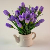 Композиция/цветы 256 Крокус сиреневый/чайник 90x140x200
