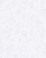 E200900 Обои Solo Fiji уни с перламутром св. серое к E200800 Компактный винил на флизелине 1,06*10 А