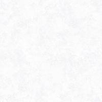 Аврора фон 02 В134 1/9 0,53 *10м на бумажной основе Саратов