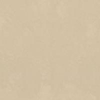 7236-12 Обои Euro Decor 6 Bengal