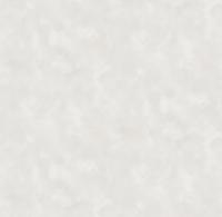 286451 Монако фон (6) обои VICTORIA STENOVA (1,06*10,05)