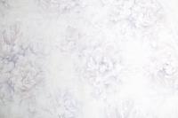 PL71981-14 (6) Обои 10 ВВ ГТ ФО Палитра