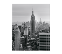 8145008 Картины интерьерные VS на стекле Megapolis 40*50