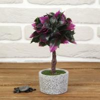 Бонсай "Остролист" 8х8х22 см, микс 3531402