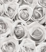 Обои Сар. С3В Роза 06 Ф597 гр.2 (15) 10,05/0,53