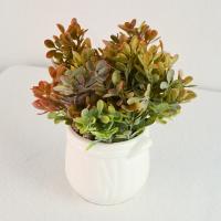 Композиция/цветы 004 Самшит пепельный зелено-красный/белый 80x80x150