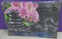 Картина Орхидея К7 (60*40)Акция***