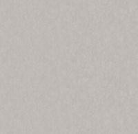 286348 Вижен фон (6) обои VICTORIA STENOVA (1,06*10,05)***