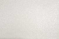 PL72124-24 (6) Обои 10 ВВ ГТ ФО Палитра