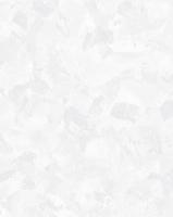 283041/Обои/Accento/Benjamina/фон светло-серый/Компактный винил на флизелине/1,06*10,05 (11931) АКЦИ