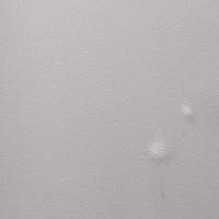 54368-2 Обои Andrea Rossi Gavi (Горячее тиснение)