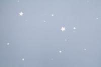 HC72162-46 (8) Обои 10 ВВ ГТ ФО HomeColor