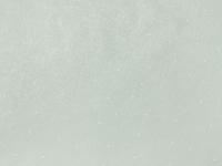 Е803402 Балет гор.т. (4) Обои Elysium 1,06м ***