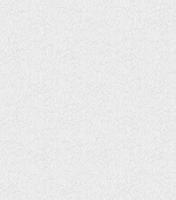 Обои Сар.С6 Голубка фон 06 Д935 гр.3 (12) 10.05\0.53