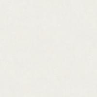 654929 Акцент фон (6) обои Wall up (1,06*10,05)