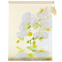 Штора-ролет 50х160 см "Орхидея". цвет бежевый 1455643*** акция