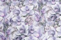 SP71836-65 Обои виниловые на флизелиновой основе ***