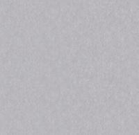 286347 Вижен фон (6) обои VICTORIA STENOVA (1,06*10,05) ***