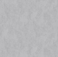 285397 Victoria Stenova Geoton Обои винил на флиз. основе горячего тиснения 1,06х10м