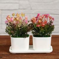 Бонсай в горшке "Марсилея" (набор 2 шт) 11,5х9 см микс 5201949