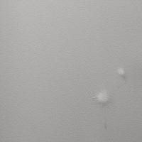 54368-1 Обои Andrea Rossi Gavi (Горячее тиснение)