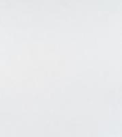 10684-01 Флориан-уни FREEDOM флиз 1,06*10м горяч. тисн. АКЦИЯ ***