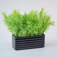 Композиция/цветы 186 Водоросли зеленый/черный спираль прямоугольная 200х160х70