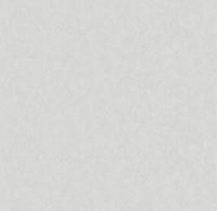 286341 Вижен фон (6) обои VICTORIA STENOVA (1,06*10,05)***